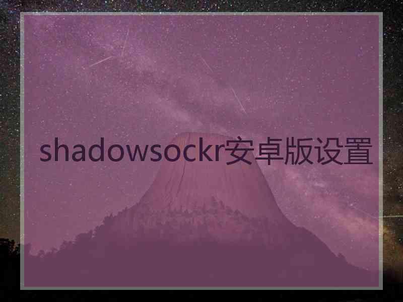 shadowsockr安卓版设置
