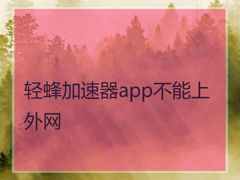 轻蜂加速器app不能上外网 轻蜂加速器app不能上外网