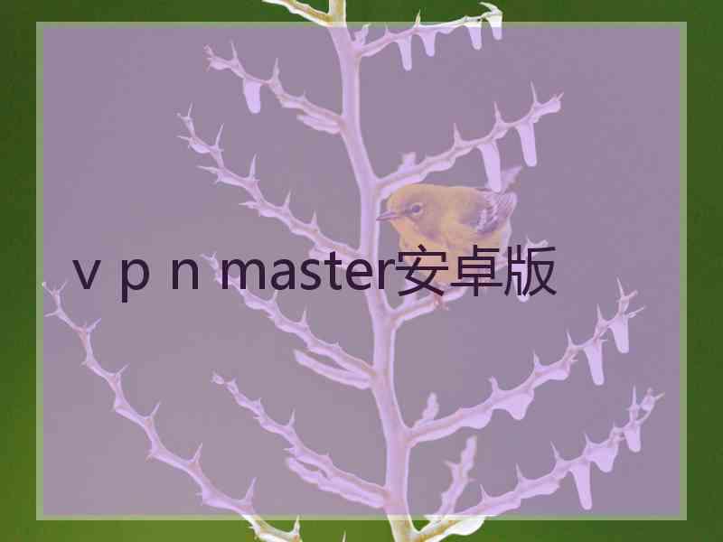 v p n master安卓版