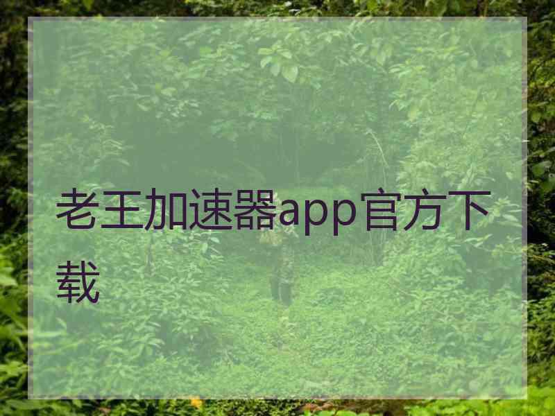 老王加速器app官方下载