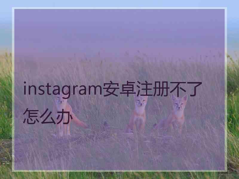 instagram安卓注册不了怎么办 instagram安卓注册不了怎么办