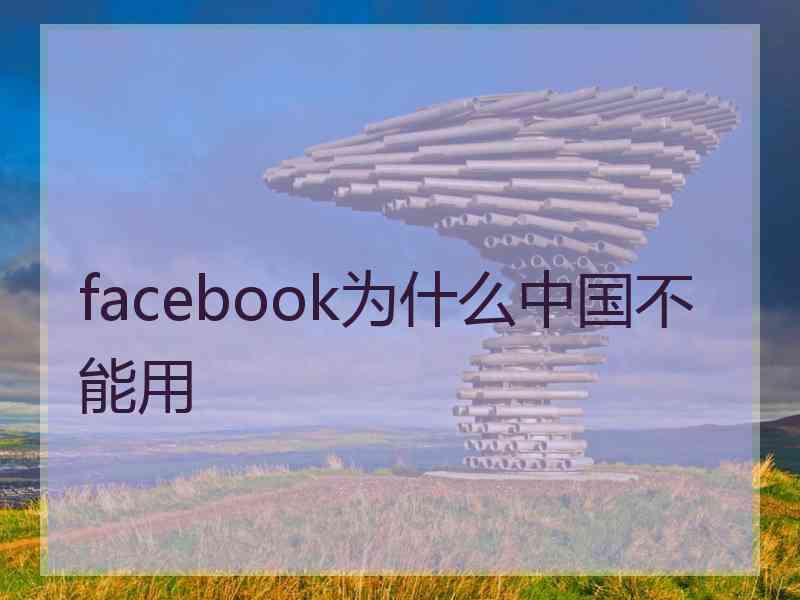 facebook为什么中国不能用