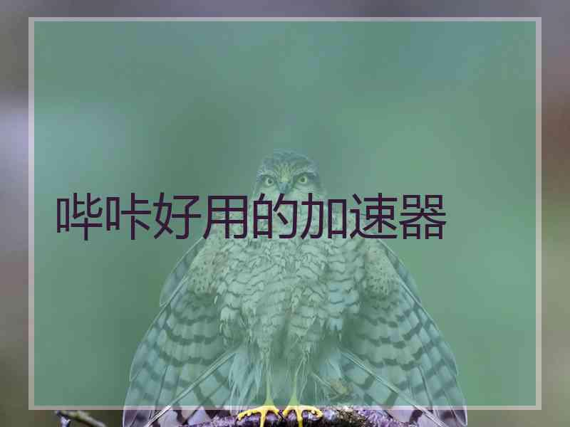 哔咔好用的加速器 哔咔好用的加速器
