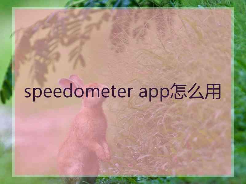 speedometer app怎么用