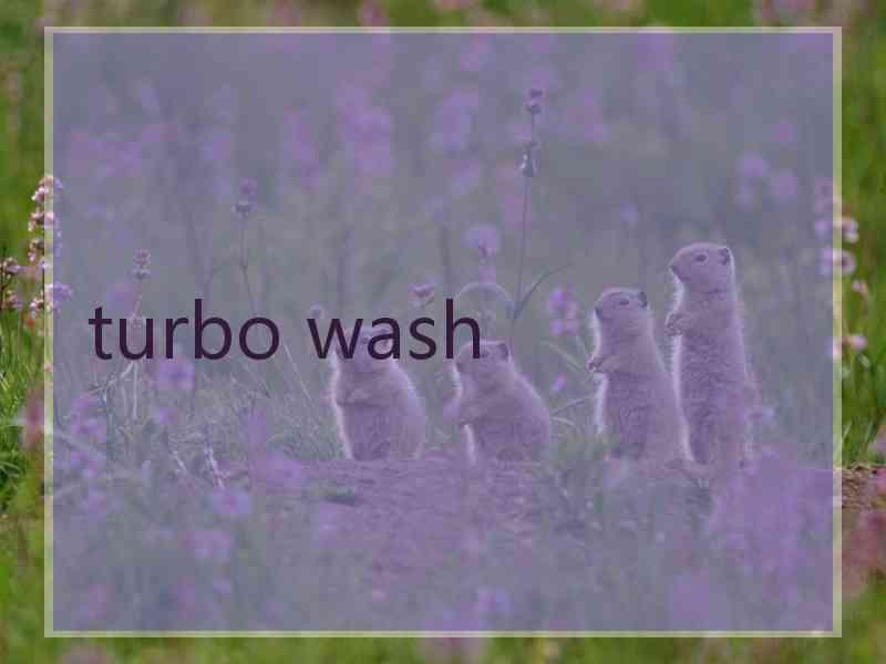 turbo wash