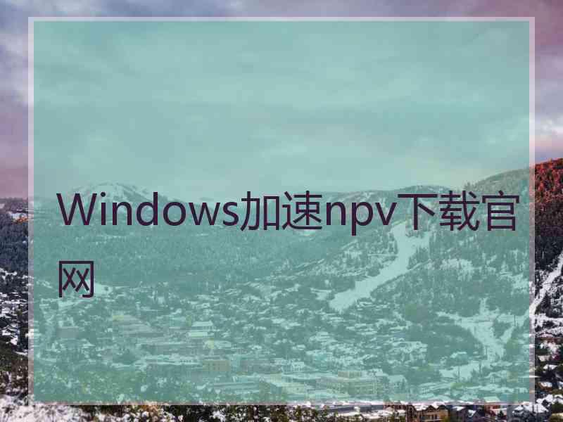 Windows加速npv下载官网