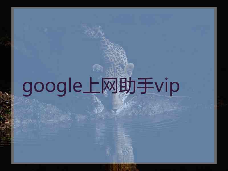 google上网助手vip