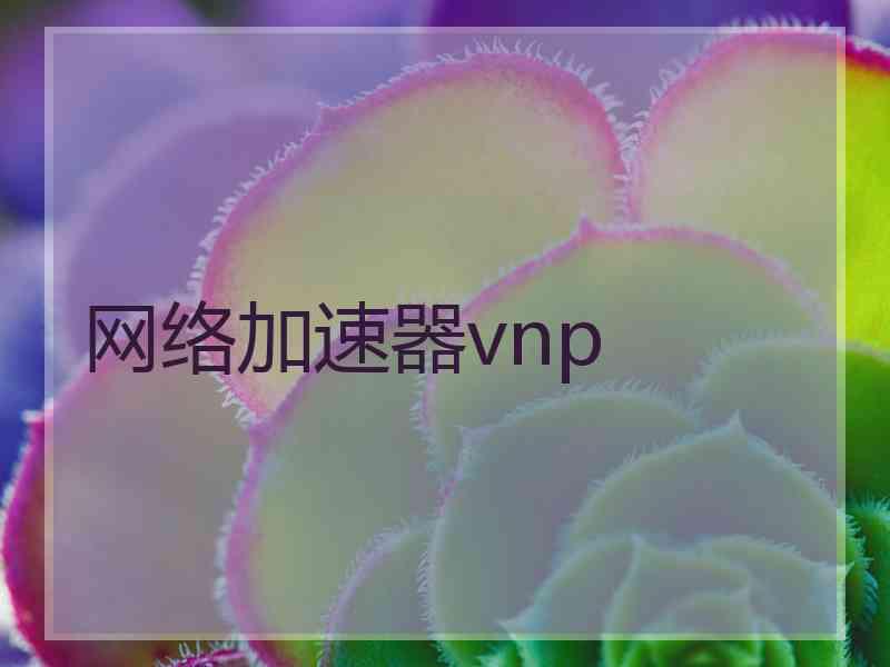 网络加速器vnp