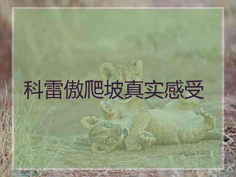 科雷傲爬坡真实感受 科雷傲爬坡真实感受