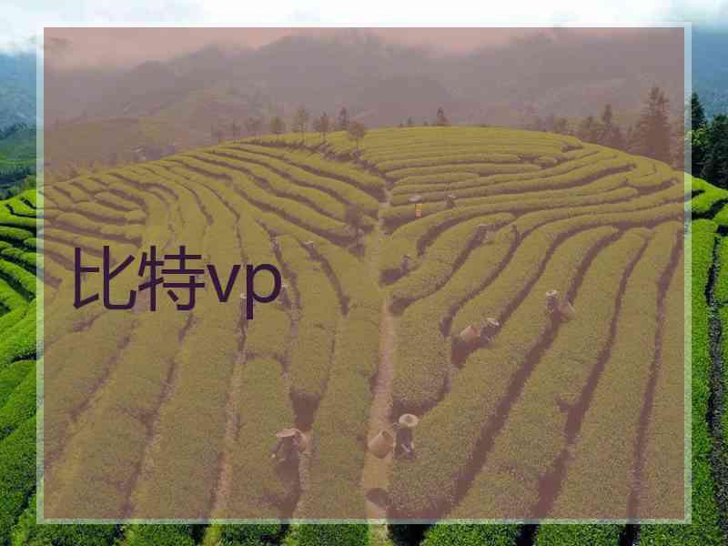 比特vp 比特vp