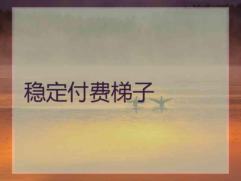稳定付费梯子 稳定付费梯子
