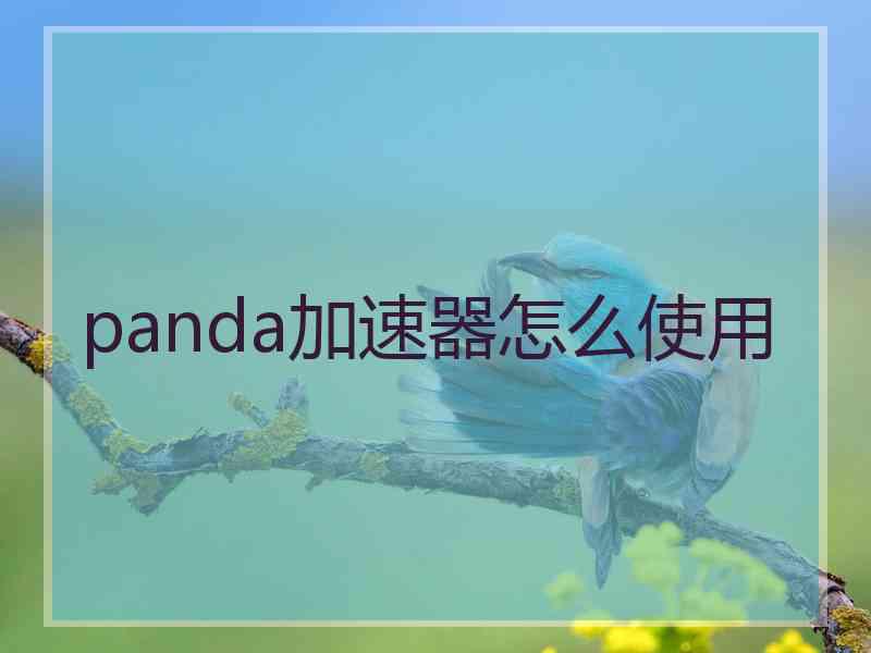 panda加速器怎么使用 panda加速器怎么使用