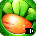xf5app 官网