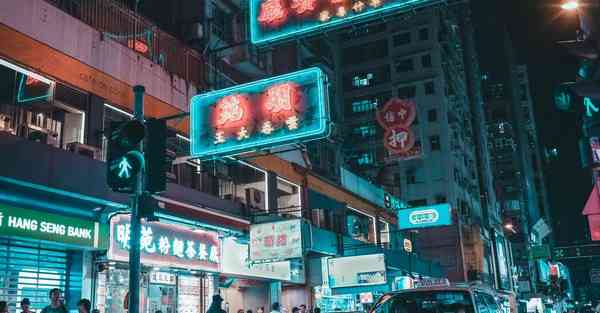 vnp官方网站