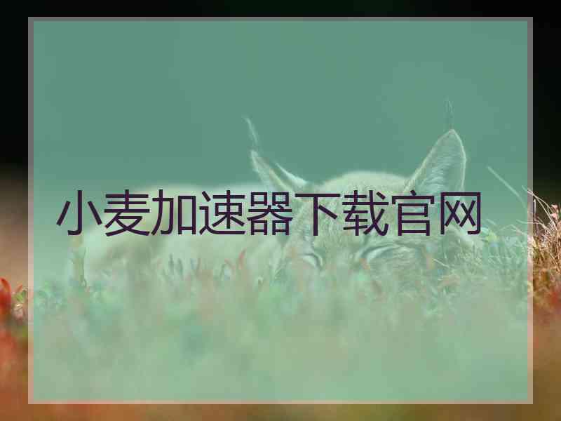 小麦加速器下载官网