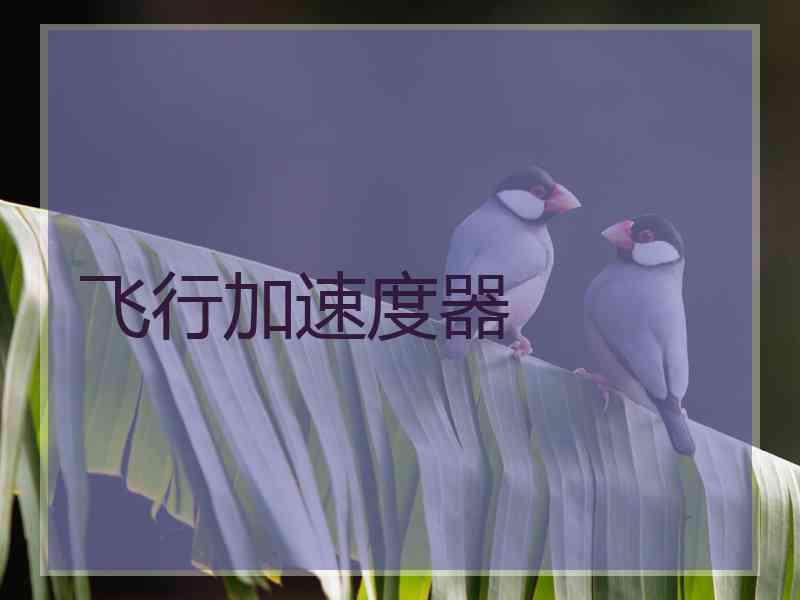 飞行加速度器