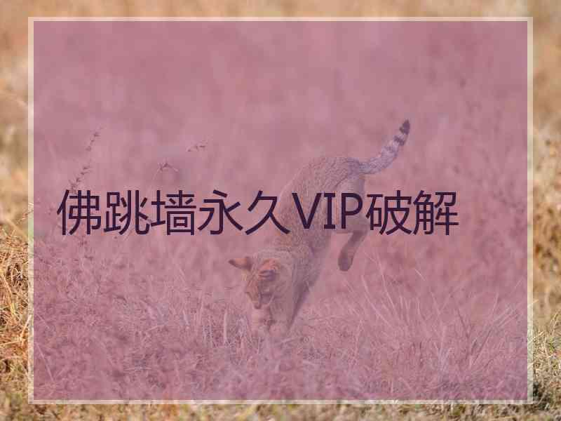 佛跳墙永久VIP破解