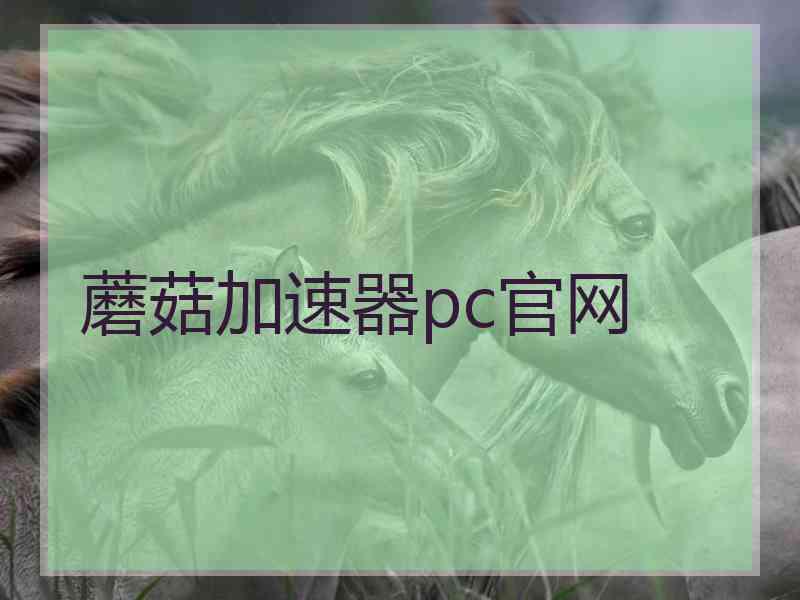 蘑菇加速器pc官网