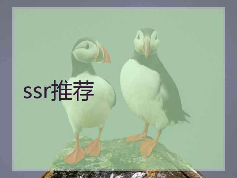 ssr推荐