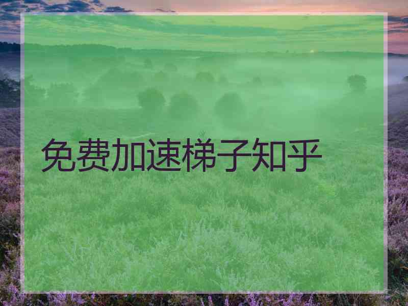 免费加速梯子知乎