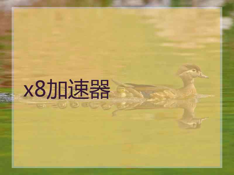 x8加速器