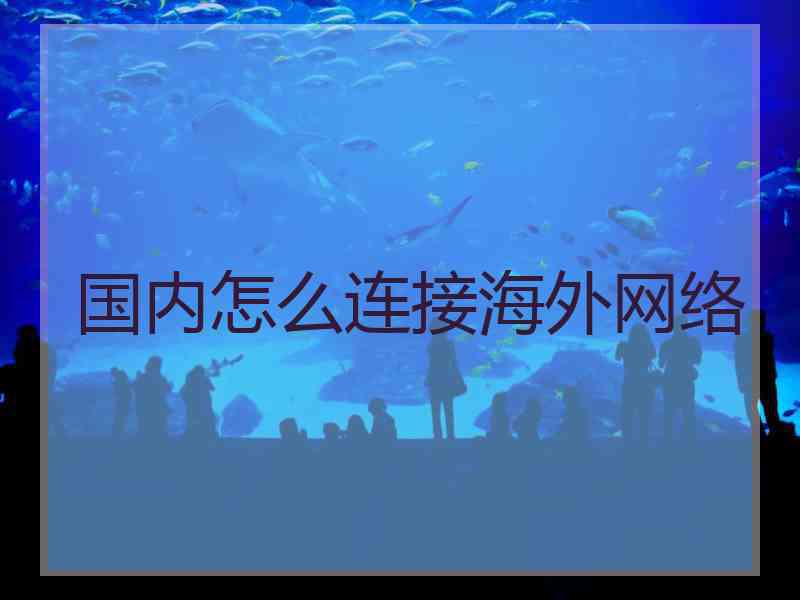 国内怎么连接海外网络