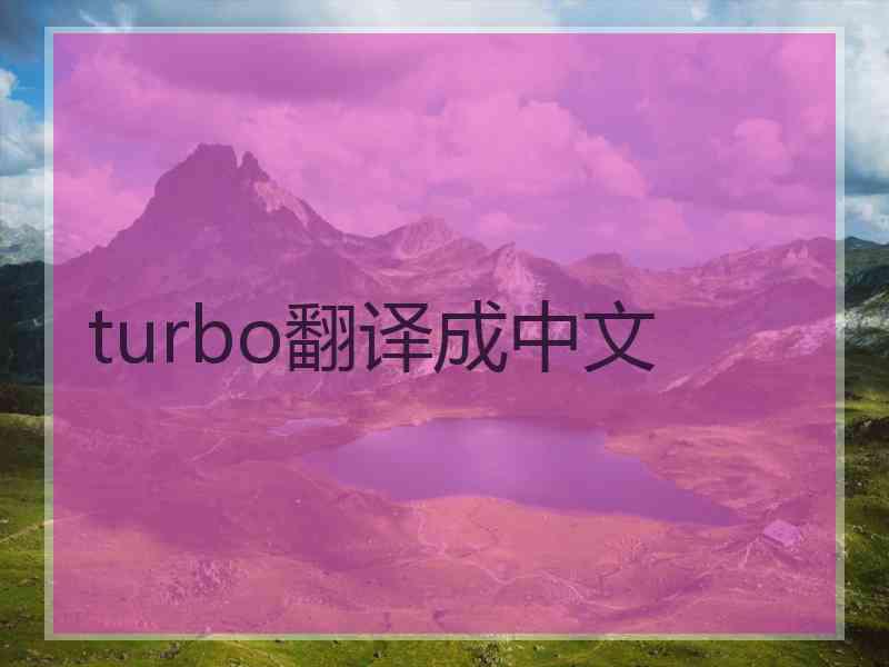 turbo翻译成中文