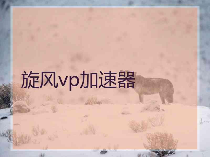 旋风vp加速器