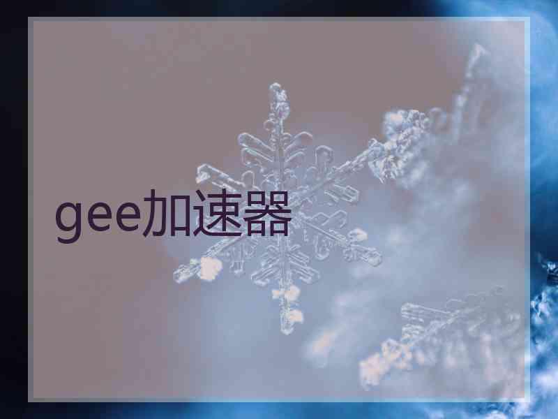 gee加速器