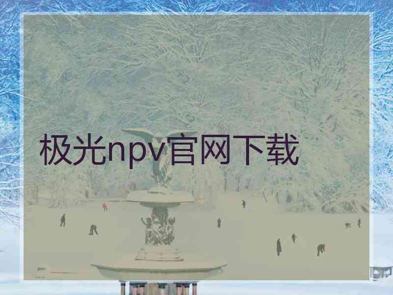 极光npv官网下载