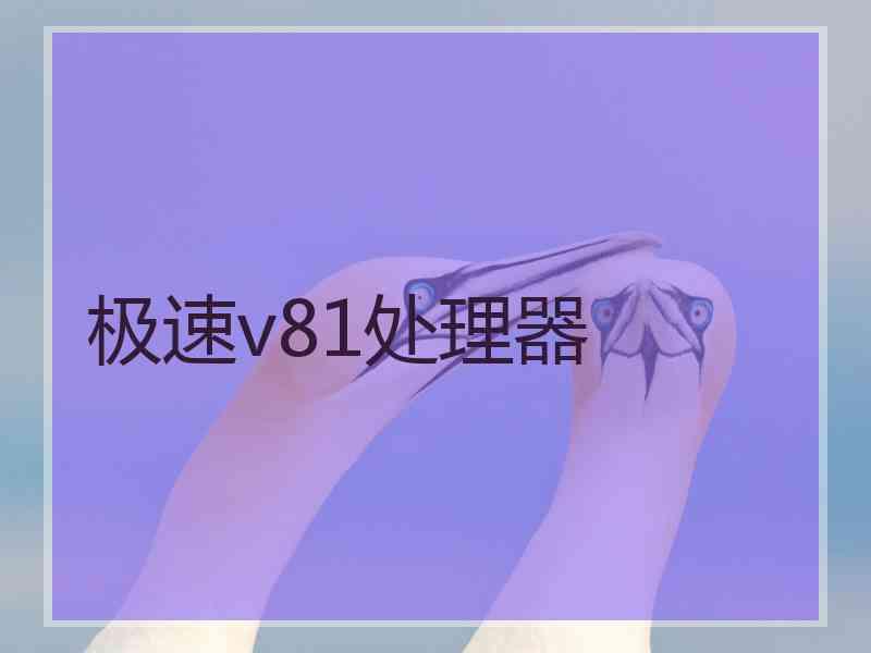 极速v81处理器