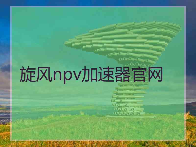 旋风npv加速器官网
