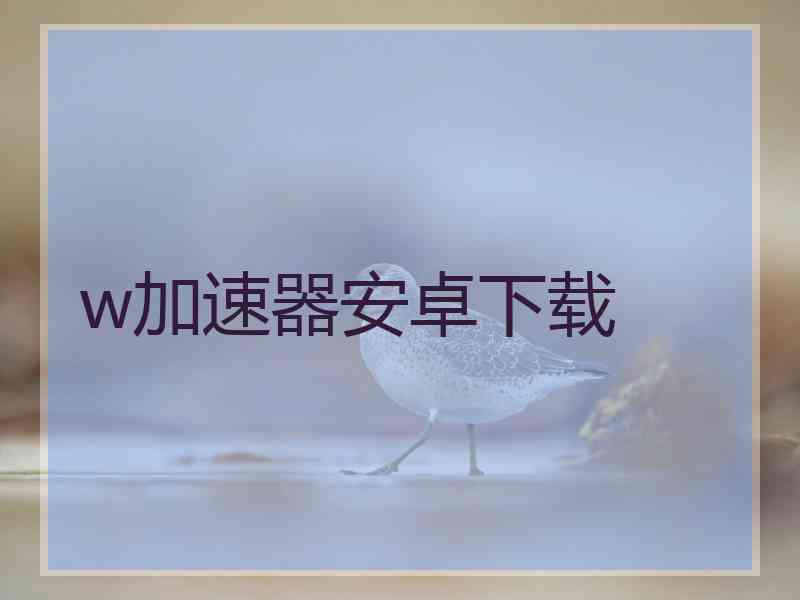 w加速器安卓下载