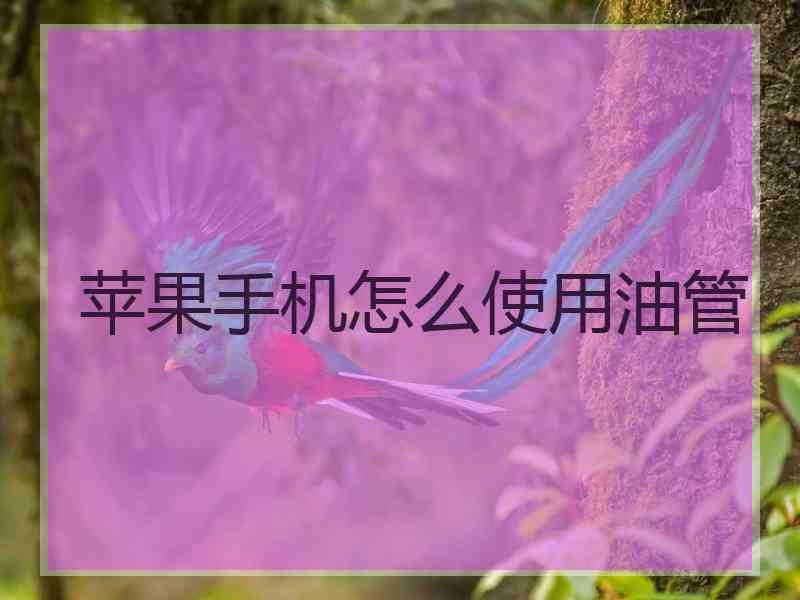 苹果手机怎么使用油管