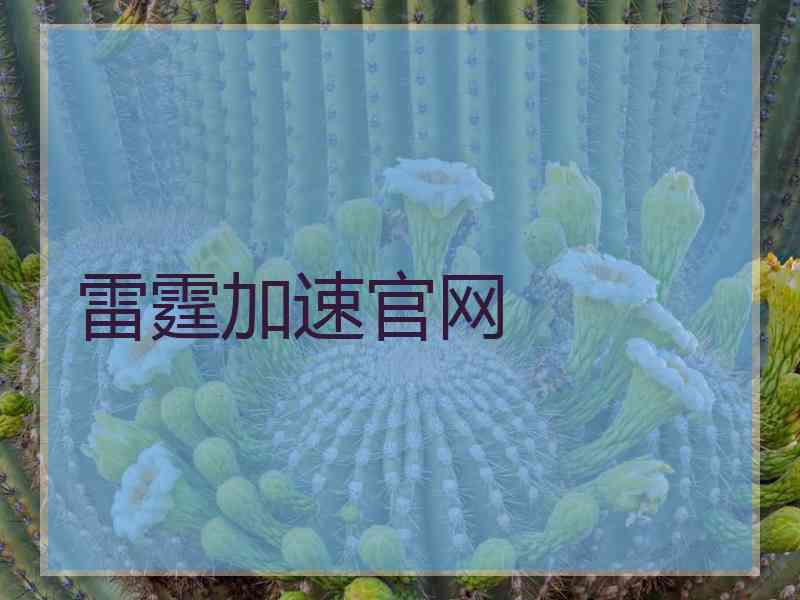 雷霆加速官网