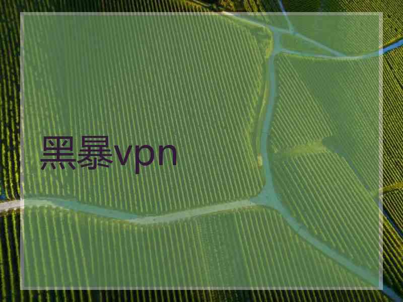 黑暴vpn
