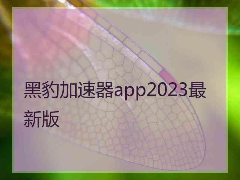 黑豹加速器app2023最新版