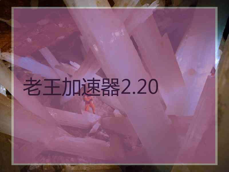 老王加速器2.20