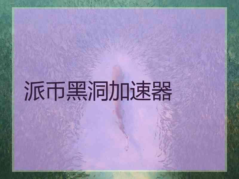 派币黑洞加速器