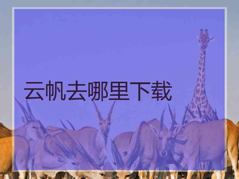 云帆去哪里下载
