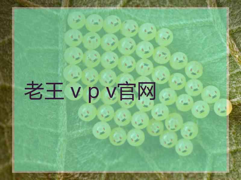老王 v p v官网