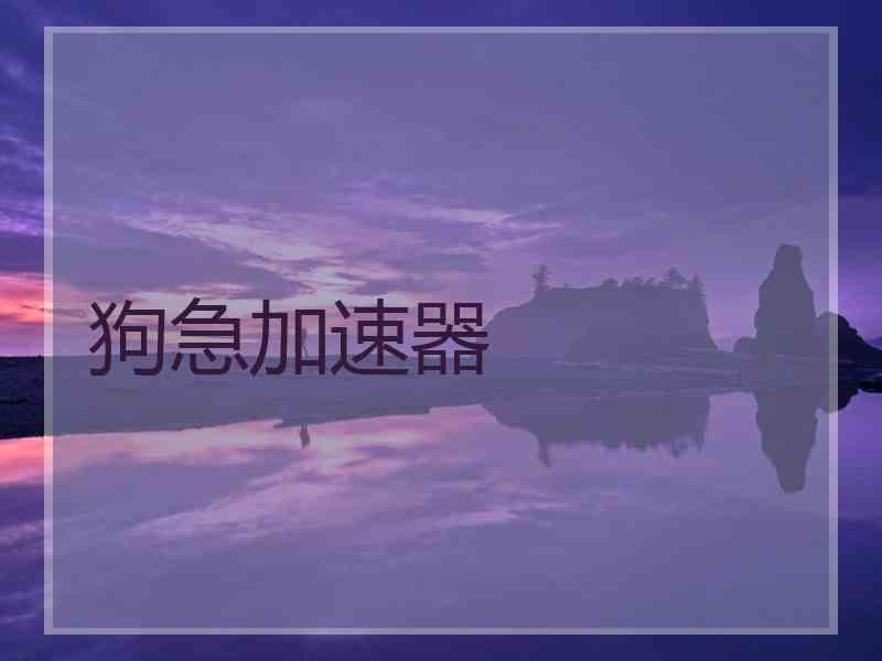 狗急加速器
