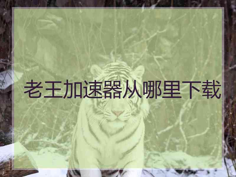 老王加速器从哪里下载