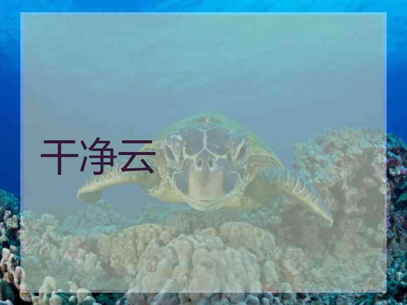 干净云