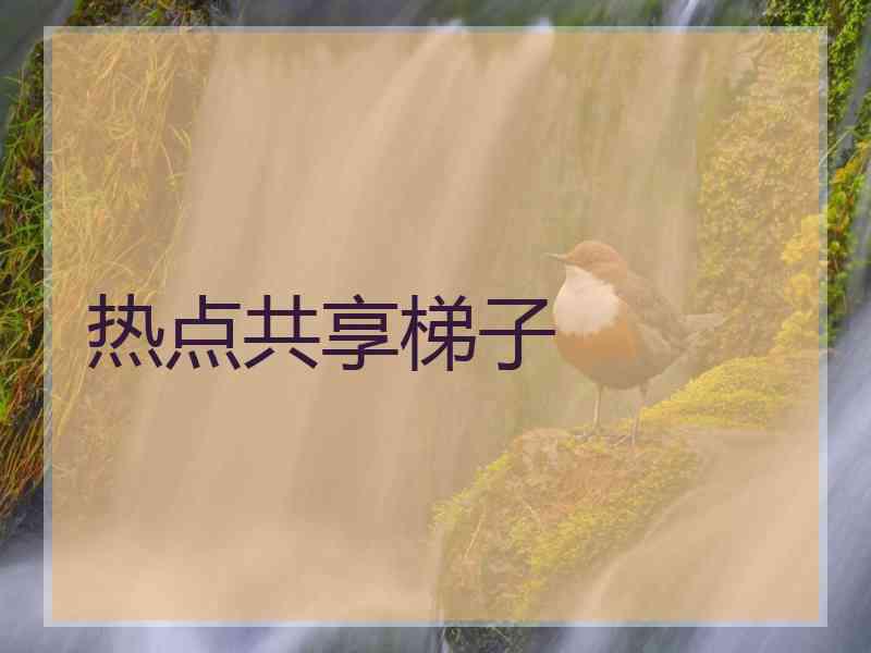 热点共享梯子