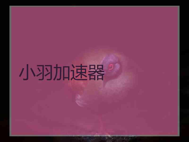 小羽加速器