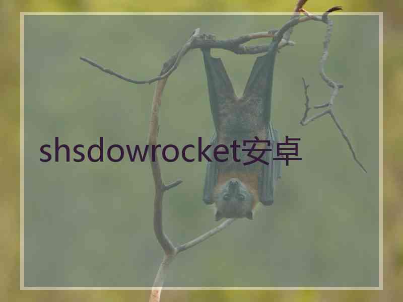 shsdowrocket安卓