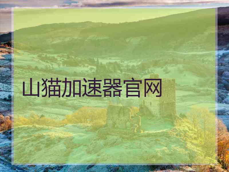 山猫加速器官网