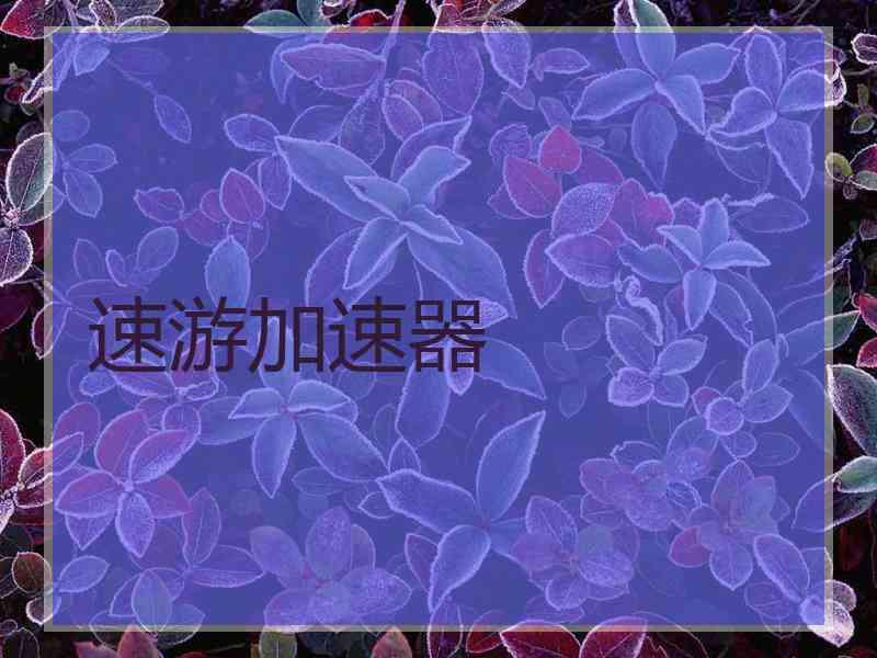 速游加速器