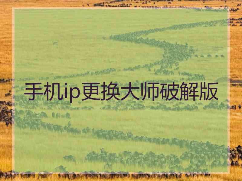 手机ip更换大师破解版